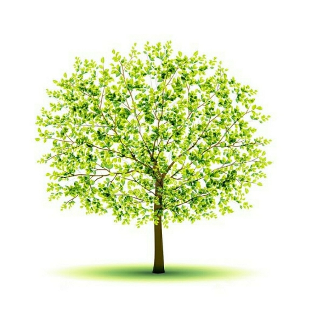 Meet your Posher, KO